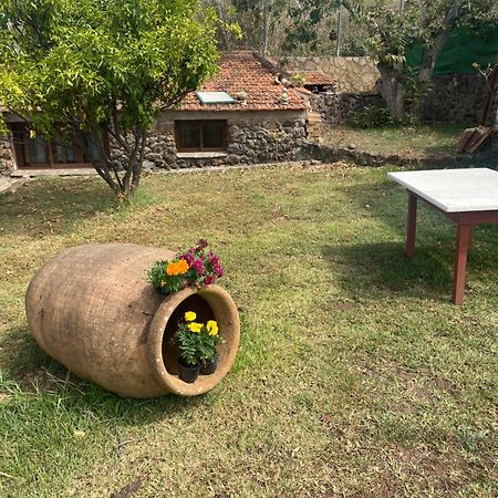 Rural House To Take A Break, La Serreria 25 - Private Garden Tacoronte Exterior foto