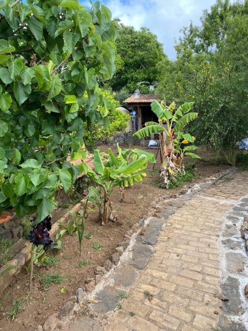 Rural House To Take A Break, La Serreria 25 - Private Garden Tacoronte Exterior foto