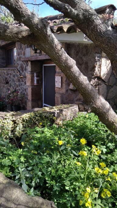 Rural House To Take A Break, La Serreria 25 - Private Garden Tacoronte Exterior foto