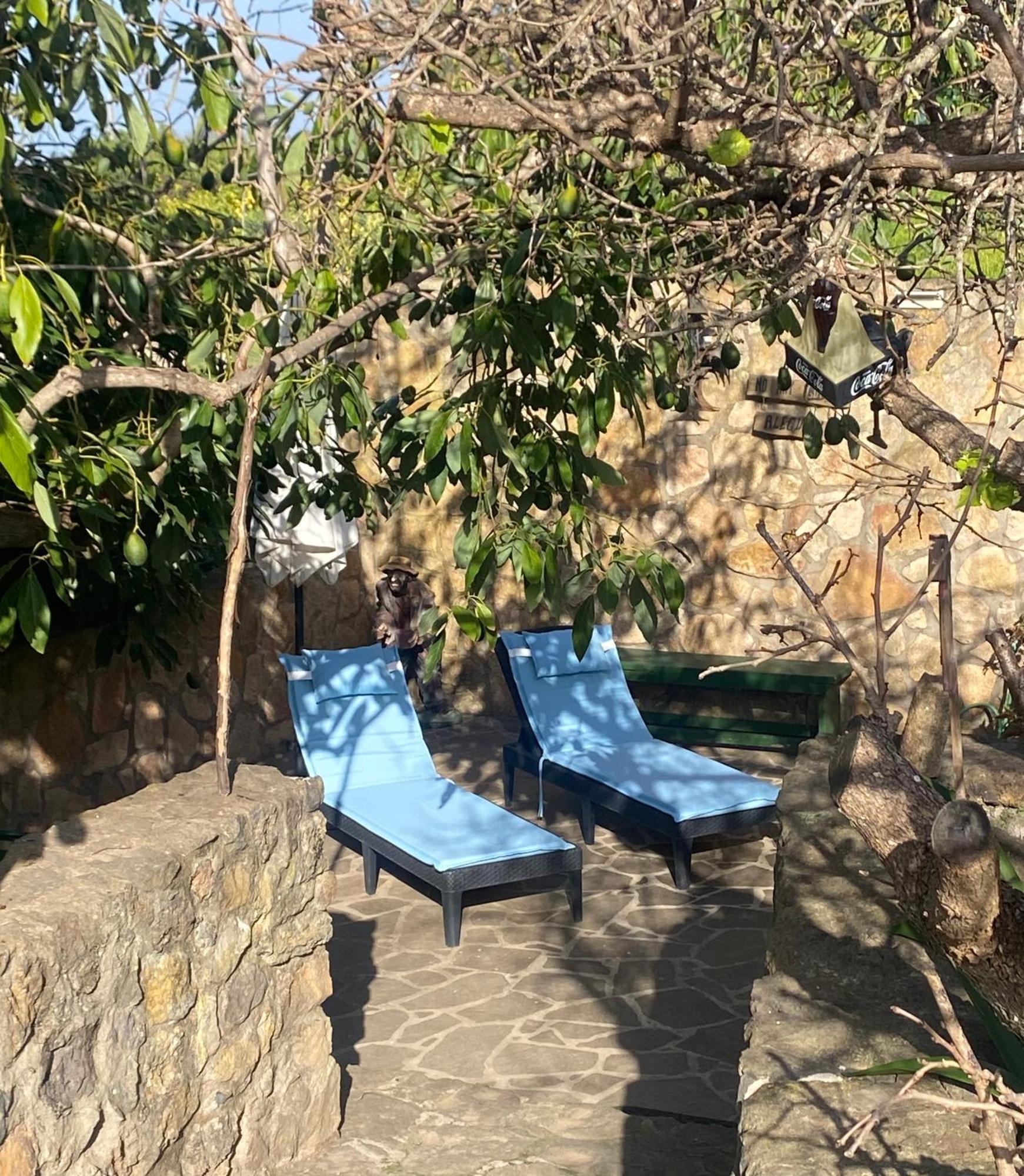 Rural House To Take A Break, La Serreria 25 - Private Garden Tacoronte Exterior foto