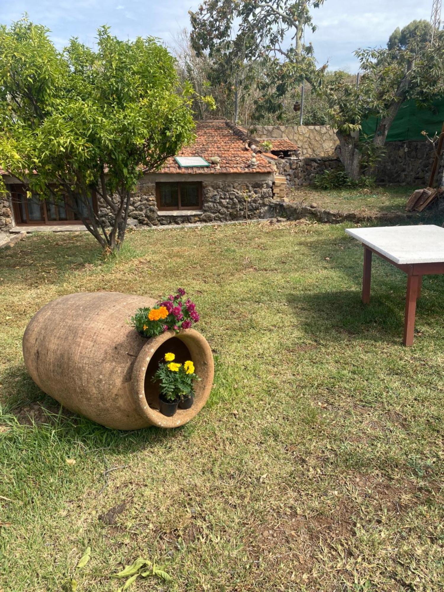 Rural House To Take A Break, La Serreria 25 - Private Garden Tacoronte Exterior foto