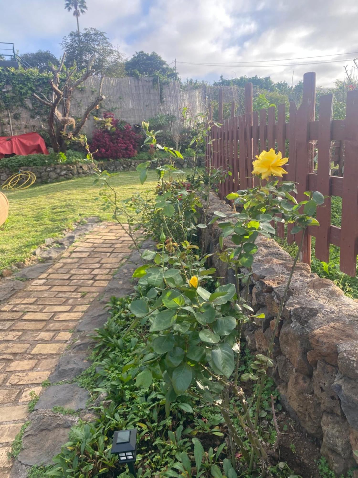 Rural House To Take A Break, La Serreria 25 - Private Garden Tacoronte Exterior foto